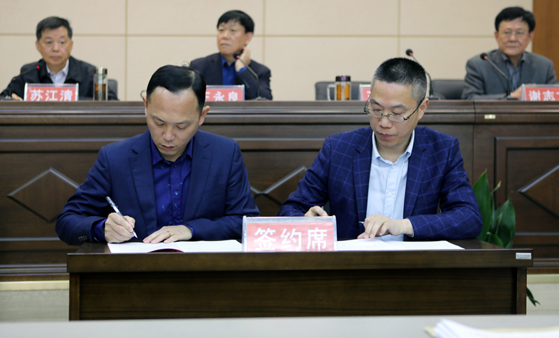 妃儿资料库官网