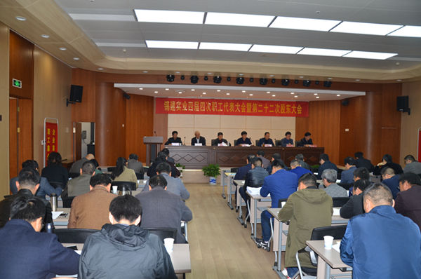 妃儿资料库官网